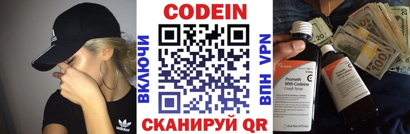 Купить закладки  Нестеров  Кодеиновый сироп Lean напиток Lean (лин) 