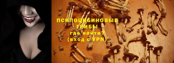 не бодяженный Магадан